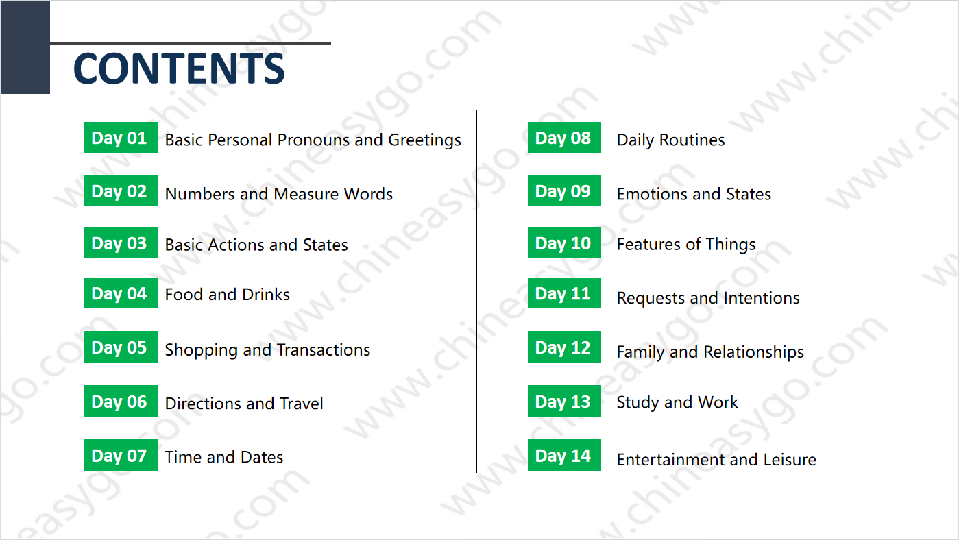 20-Day Chinese Starter: Easily Communicate with 594 Characters